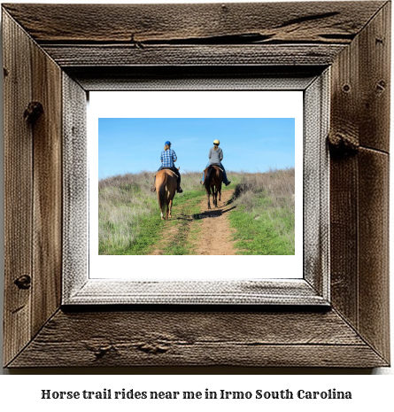 horse trail rides near me in Irmo, South Carolina